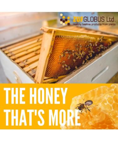 Buy Zuf Globus LadyMEL Day & Night Honey Supplement | Menopause Support | Calm Symptoms & Promote Better Sleep - 2 Count - Buy Online on GoSupps.com