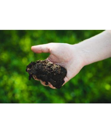 Moor Heat Pad 28x38 cm with Fleece Cover - Blackberry | Hot Water Bottle & Heating Pad for Pain Relief - Buy Online on GoSupps.com