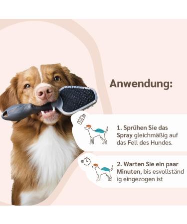 Amusi Neem l Tick Spray for Dogs 250ml | Natural Vegan Tick Protection Insect Spray - Paraben & Nickel Free - Buy Online on GoSupps.com