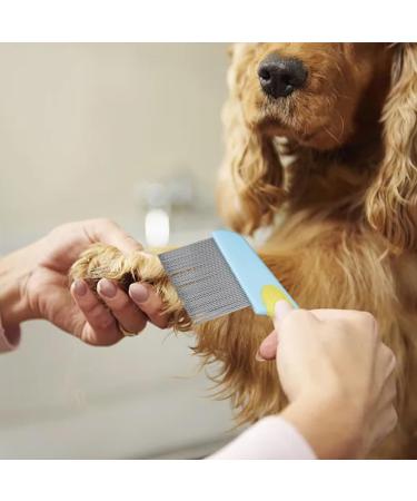 Stainless Steel Lice Comb Set - 2 Pack for Lice Fleas & Dandruff Removal | Durable Nissen Ridge & Lice Bams | Yellow Blue & Green - Buy Online on GoSupps.com