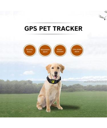 LILOVE Pet Tracker Dog GPS Tracker Real Time Tracking Locator Pet Collars with Mic Dogs Cats GPS Tracking Pet GPS Tracker Collar Anti-Lost Device (1) - Buy Online on GoSupps.com
