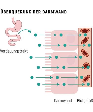  Adelle Davis Liposomal zinc 15mg with vitamin C 1000mg 200ml high-dose liquid formula with sunflower lecithin vegan non-GMO soy and gluten free - Buy Online on GoSupps.com