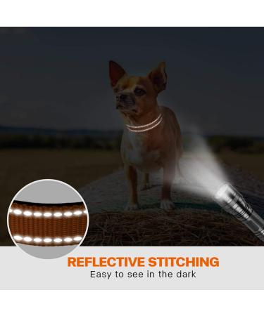 Taglory Dog Collar - Soft Padded Neoprene Nylon for Puppies | Adjustable & Reflective XS (1 Pack) - Brown - Buy Online on GoSupps.com