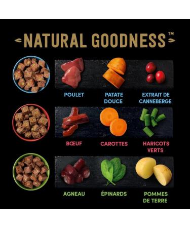 CESAR Natural Goodness Adult Dog Sauce Cans 3 Varieties 8x3x400g - Buy Online on GoSupps.com