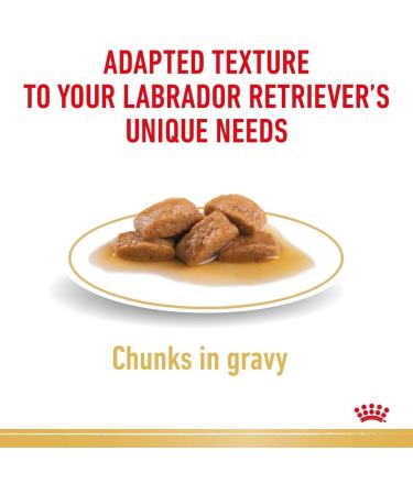 Royal Canin Labrador Retriever Adult in Gravy Wet Dog Food 140g (Pack of 40) - Buy Online on GoSupps.com