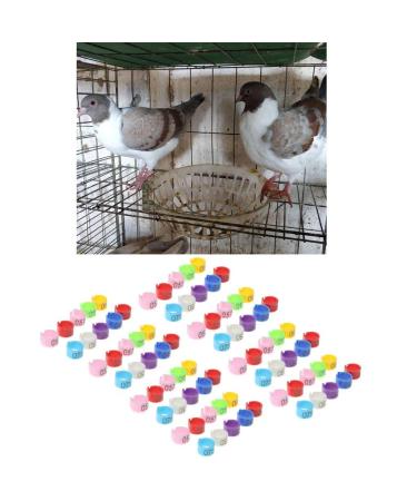 Perfk 50 Multi-Colored Aluminum Pigeon & Chicken Leg Rings - Identification Bands for Birds & Poultry - Buy Online on GoSupps.com