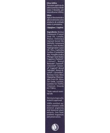 Dr. Hauschka Lip Gloss 01 Bush Plum - Pale Cool Pink | Moisturizing Lip Color - Buy Online on GoSupps.com