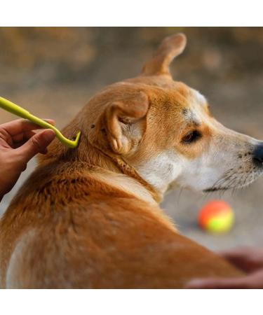 Wacnune 3Pcs Tick Remover Tool Painlessly Tick for Dogs Cats and Humans Pets Blue - Buy Online on GoSupps.com