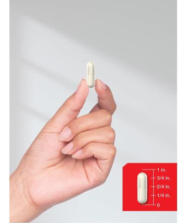 Horb ach L Arginine Supplement 1000mg Capsules | 150 Powder Pills | for Men and Women | Free Form | Non-GMO & Gluten Free Supplement - Buy Online on GoSupps.com