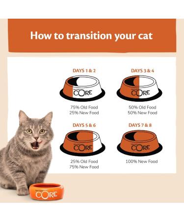 Wellness CORE Kitten Original 1.75kg Turkey & Chicken Kitten Dry Food All-Natural Grain-Free High Meat Content Protein-Rich Supports Brain & Eye Development Dry Food 1.75kg - Buy Online on GoSupps.com