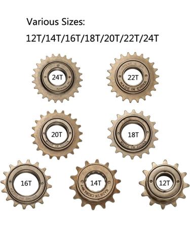 Teyssor Single-Speed Freewheel - 12T to 24T Bicycle Freewheels for 1/2 x 1/8 Chains - Buy Online on GoSupps.com