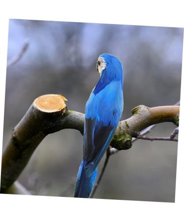 TOYANDONA 5pcs Ornament Figure Parrot Model Vivid Wedding Supply Sculptures Realistic Birds Adornment for 20x5cmx5pcs Bluex5pcs - Buy Online on GoSupps.com