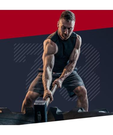 Wheyland 100% Pure Whey Protein Concentrate 100-1000g - Instant Muscle Building| ARLA | White Cookies Flavor - Buy Online on GoSupps.com
