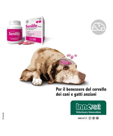 Senilife Plus for the well-being of the brain of older dogs and cats improves cognitive functions and memory for successful brain aging 60 single-dose capsules - Buy Online on GoSupps.com
