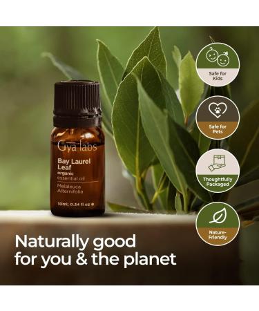 Gya Labs Organic Bay Leaf Essential Oil 10ml - Hair & Aromatherapy - Spicy Herbaceous Scent - 100% Pure & Natural - Buy Online on GoSupps.com