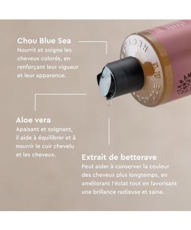 Dare to Dream - Wild Rose Shampoo Organic - Buy Online on GoSupps.com