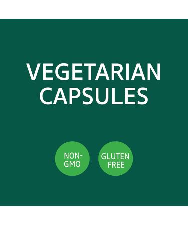 21st Century Fenugreek 610mg - 100 Vegetarian Capsules | Natural Herbal Supplement - Buy Online on GoSupps.com