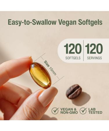 Vegan Wild Oregano Oil Capsules Organic 86-90% Carvacrol - 10000 mg Oil of Oregano per Softgel - Immune and Digestive Support Natural Antioxidant Vegan Non GMO 120 Capsules 120 Count (Pack of 1) - Buy Online on GoSupps.com