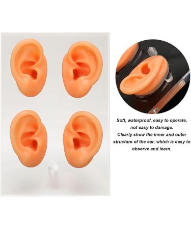 Ear Display Mold Human Ear Model Real Skin Feeling Reusable Waterproof Soft For Store Showcase For Doctor Otolaryngologists For Ear Dispensers - Buy Online on GoSupps.com