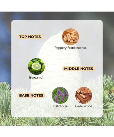 Moody Premium Cedar Spice Perfume for Men | Eau De Parfum | Long Lasting Scent Upto 8 Hours | Luxurious EDP Fragrance with 20% Perfume Oil 100ml - Buy Online on GoSupps.com