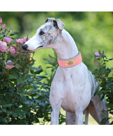 Personalized Pink PU Leather Dog Collar for Medium Large Dogs | Soft Padded Custom Engraved Name Tag | Comfortable & Stylish - M: Neck 33-41cm Width 3cm - Buy Online on GoSupps.com