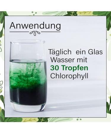 ENOLENIA Chlorophyll Drops High-Dose Alfalfa for Weight Loss & Fat Metabolism | 50ml Natural Additive-Free Formula - Buy Online on GoSupps.com