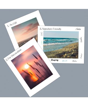Golden State Art 11x14 White Pre-Cut Picture Mat for 8.5x11 Photo - Acid Free, Bevel Cut (10 Pack) - Buy Online on GoSupps.com