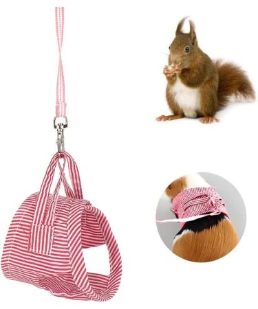 Small Animals Adjustable Harness Vest & Leash Set for Outdoor Walking - Red S | Ideal for Guinea Pigs, Squirrels, Hedgehogs, Ferrets, Rabbits - Buy Online on GoSupps.com