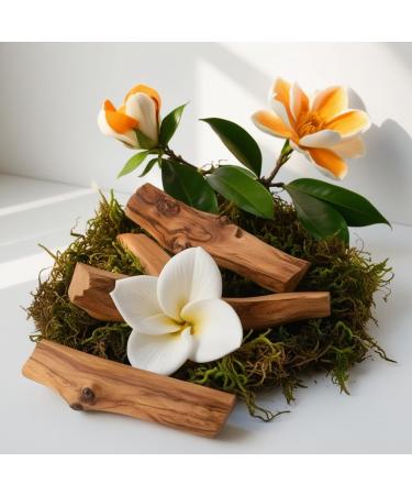 DIVAIN-647 - Inspired by Voce Viva - Perfume Impression for Woman - Musk Fragrance - Buy Online on GoSupps.com