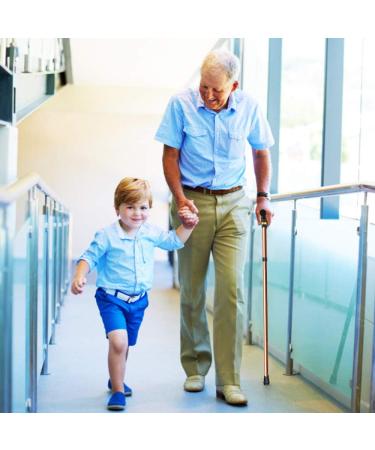 2 Pack Folding Walking Stick Collapsible Walking Travel Cane Portable Walking Stick with Non-Slip Rubber Base for Mountain Climbing Trekking Hiking Travel - Buy Online on GoSupps.com