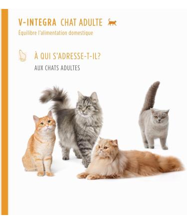 V-INTEGRA Adult Cat - Complete Supplement Rich in Vitamins and Minerals for the Homemade and Barf Ration of Adult Cats of All Ages - 200 g - Made in Italy - Buy Online on GoSupps.com