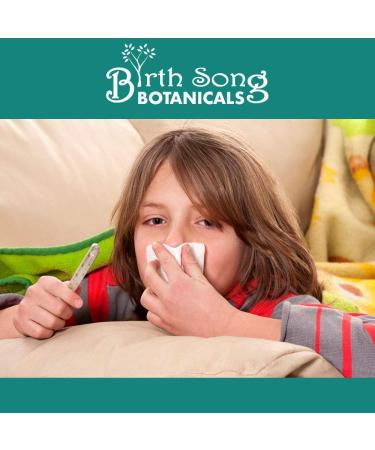 Children's Respiratory Support Tincture with Elderberry - 1oz Bottle - Buy Online on GoSupps.com