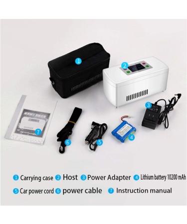 Mini Medical Refrigerator and Insulin Cooler Case - Portable Insulin Bag Travel Refrigerated Keeps 2-8 C with USB Car Adaptor - Buy Online on GoSupps.com