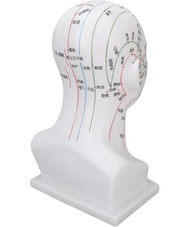 Buy Acupuncture Head Model with Point Markings | Ideal for Facial Treatments & Training Props - 11.8 inches Soft PVC - Buy Online on GoSupps.com