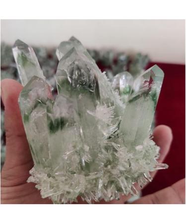 Natural Crystal Rough Crystal Cluster 300-1000g Rare Beautiful Green Ghost Phantom Quartz Crystal Cluster Specimen (Size : 800-900) - Buy Online on GoSupps.com