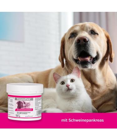 Alfavet Enzymeopank for Dog & Cat - Digestive Support Powder for Exocrine Pancreatic Insufficiency 100g | Dietary Supplement - Buy Online on GoSupps.com