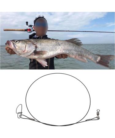 VGOL 30-Pack Stainless Steel Fishing Wire Leaders - 45kg/100lb 50cm/19in Anti-Bite Rigs for Outdoor Fishing - Buy Online on GoSupps.com