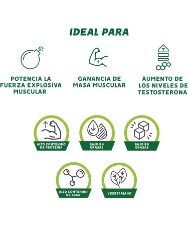  GoldNutrition GOLDNUTRITION | VEGAN V-PROTEIN | PEA AND RICE PLANT PROTEIN MIX (CHOCOLATE 240g) - Buy Online on GoSupps.com