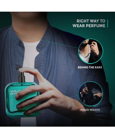 W_ild Stone Edge Parfum for Men Long Lasting Refreshing Every day Wear Fragrance 100 ml|Premium Perfume|Gift for Husband - Buy Online on GoSupps.com