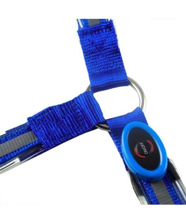 Kenyaw LED Horse Harness - Comfortable & Robust Chest Strap for Safety | Best Visibility for Riding (Orange) - Buy Online on GoSupps.com