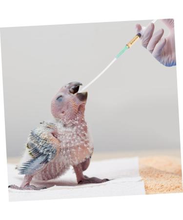 MipCase 3-Part Feeding Tool for Young Birds | Large Curved Probe | Pet Feeding Supply for Babies | Waves Bird Baby Spray 0.7x14cm - Buy Online on GoSupps.com
