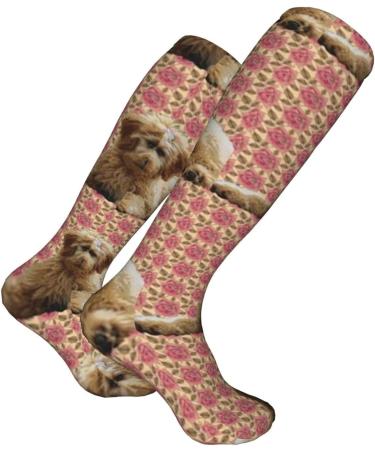 Goldendoodle & Roses Compression Socks for Men & Women | 15-20 mmHg Support for Running & Cycling - Buy Online on GoSupps.com