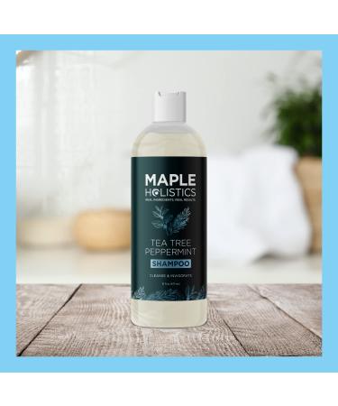 Maple Holistics Tea Tree Shampoo 16 oz â€“ Special Formula for Scalp Relief & Shine - Buy Online on GoSupps.com