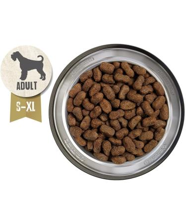 Belcando Adult GF Horse Dog Food 1kg | Grain-Free Dry Food for Adult Dogs of All Breeds | Premium Sole Feed - Buy Online on GoSupps.com