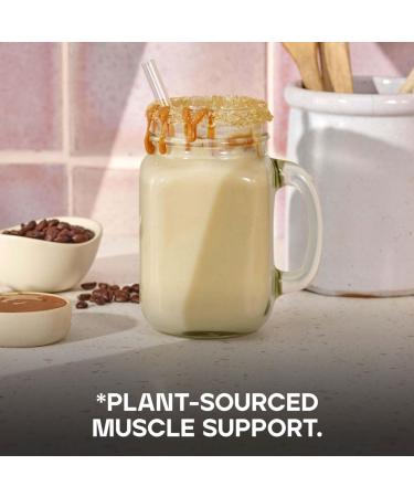 Bulk Vegan Protein Powder Caramel Latte 1kg - New Formula | 28 Servings - Buy Online on GoSupps.com