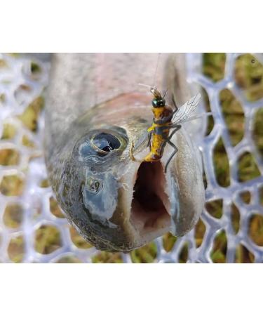 YZD Premium Realistic Trout Flies Collection - Dry Fly Assortment for Fly Fishing | A12 Lures Kit - Buy Online on GoSupps.com