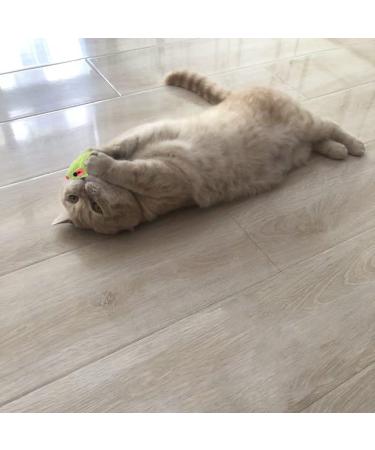 MeoHui Fur Mice Cat Toys 12PCS - Rattling Catnip Cat Toys for Interactive Play | Realistic Size with Rattle Sound | Catnip Filled Mouse Toy for Indoor Cats and Kittens - Buy Online on GoSupps.com