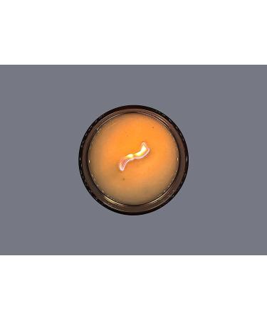 Infinite Modern Wavy Wooden Wicks for Candle Making - Set of 15 Metal Bases and Wood Wicks - Buy Online on GoSupps.com