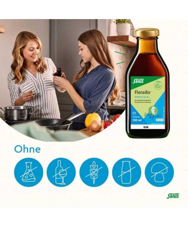 Floradix Iron + B12 Vegan Tonic 250 ml | Enhance Energy & Boost Iron Levels | International Shipping Available - Buy Online on GoSupps.com