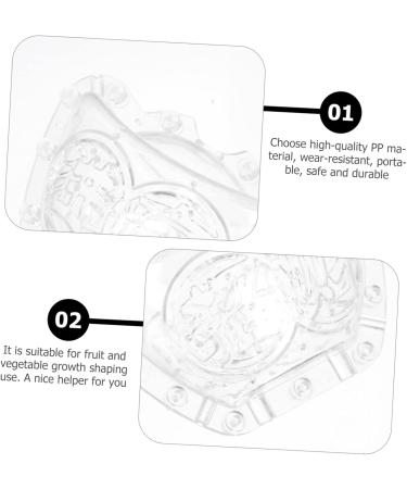 OFFSCH 2pcs Ingot Shaped Mold Vegetables Watermelon Growing Mold Vegetable Growing Molds Accessories Gourd - Buy Online on GoSupps.com